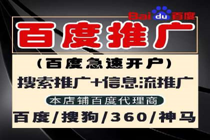百度广告竞价策略详解：某电商平台的成功案例
